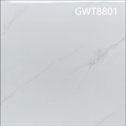 800*800 Glossy tiles ZC