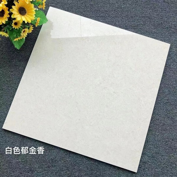 600*600 Glossy tiles