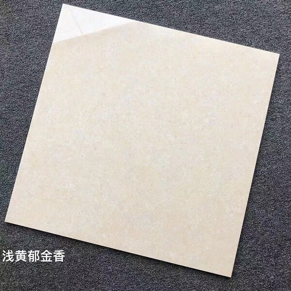 600*600 Glossy tiles