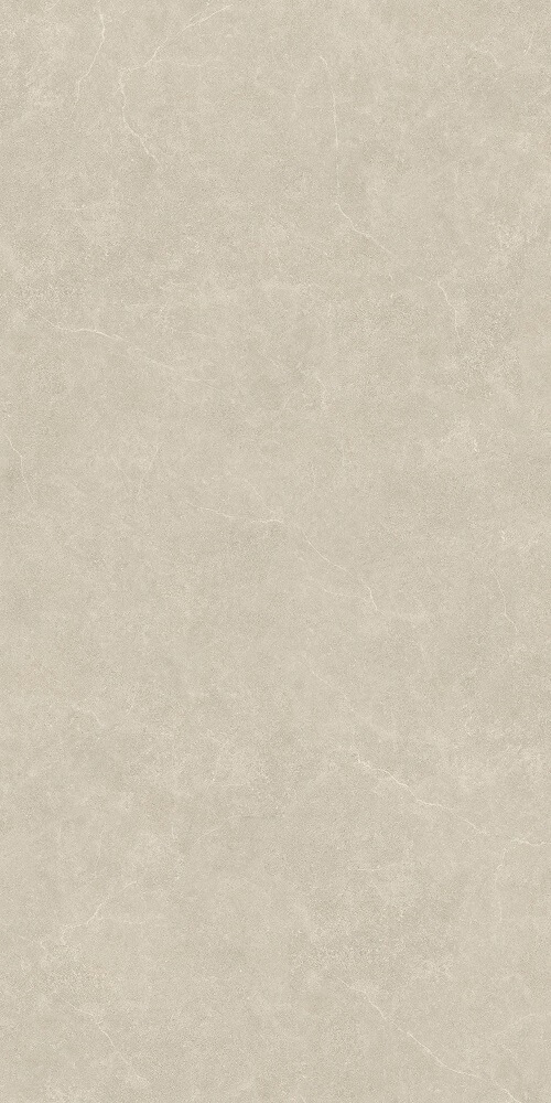 600*1200 Matt tiles BNF