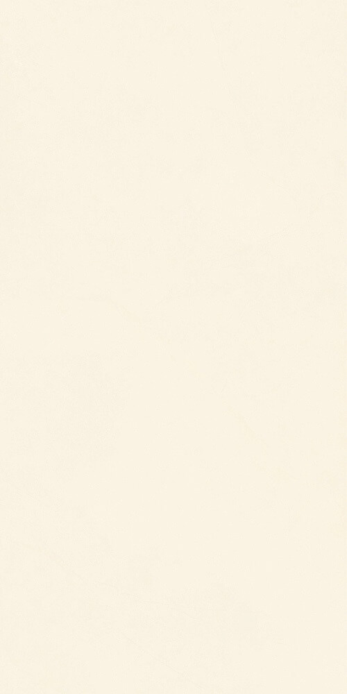 600*1200 Matt tiles BNF