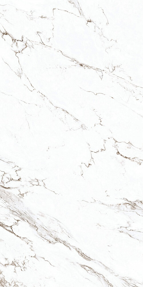600*1200 Matt tiles FK