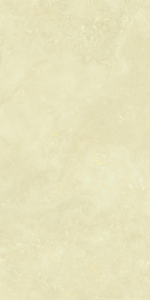 600*1200 Matt tiles FK