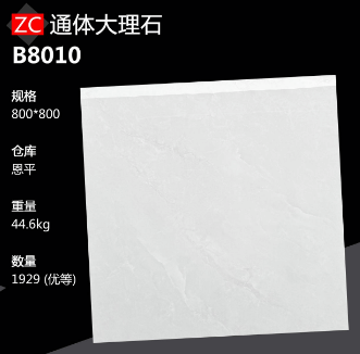 800*800 Glossy tiles ZC