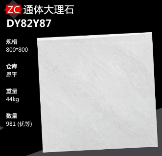 800*800 Glossy tiles ZC