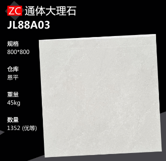800*800 Glossy tiles ZC