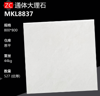 800*800 Glossy tiles ZC