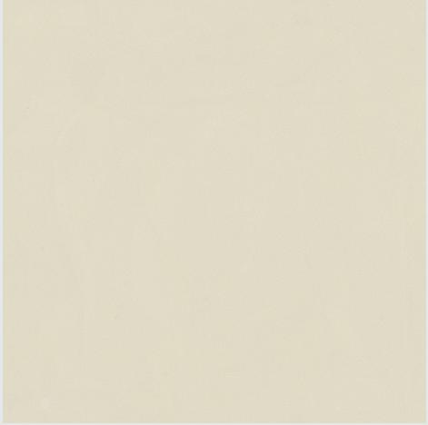 600*600 Polished and Natural surface tiles