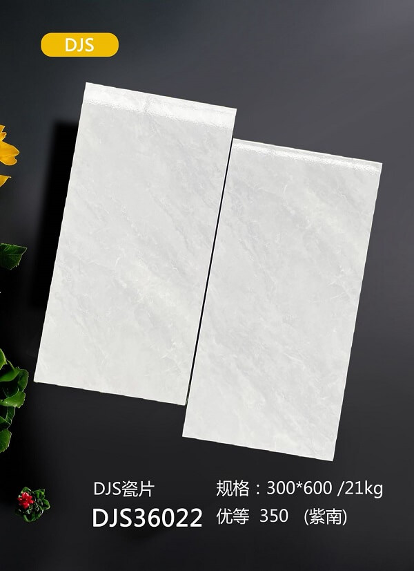 300*600 Glossy tiles DJS