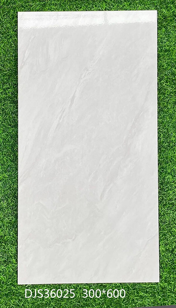 300*600 Glossy tiles DJS